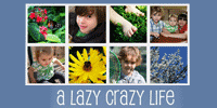 A Lazy Crazy Life